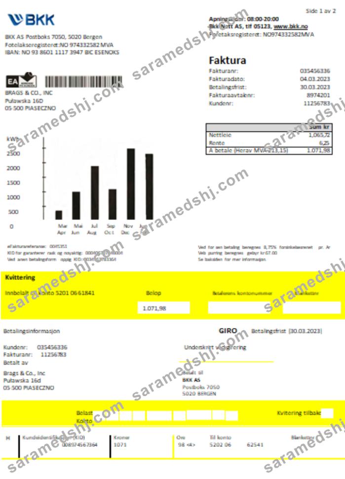 BKK electricity utility business bill SCR